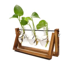 image-Glass Hydroponic Vase with Wooden Stand Home Office Decoration