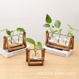 image-Glass Hydroponic Vase with Wooden Stand Home Office Decoration