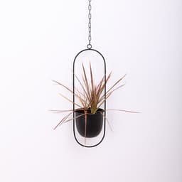 image-Tubang Nordic Iron Hanging Flower Pot Wall Mount Planter Basket