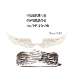 image-Xinqi Angel Wings Ring Adjustable Copper Fashion Ring J102