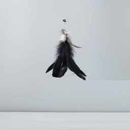 image-Cat Teaser Wand with Suction Cup, Feather, Replacement Heads & Bell