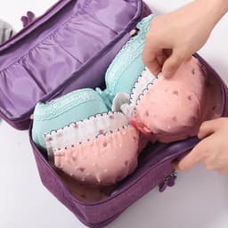image-Fifan RH901 Bra Storage Bag Waterproof Travel Organizer
