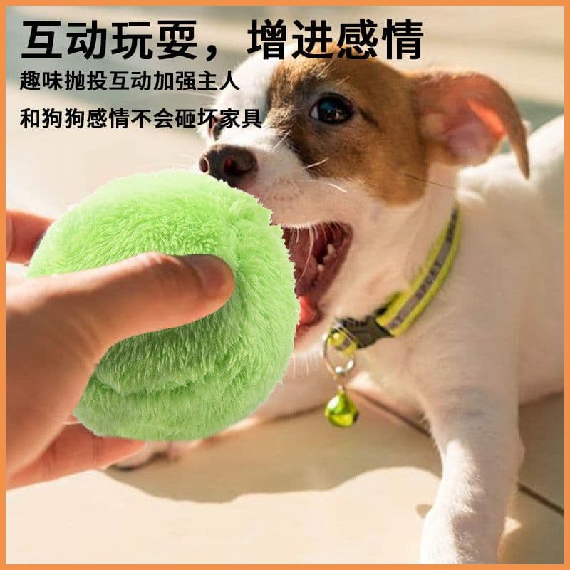 image-Plush Electric Pet Ball Toys 4 Pack