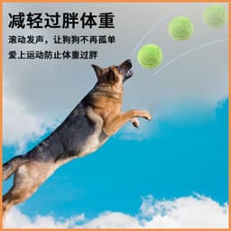 image-Plush Electric Pet Ball Toys 4 Pack