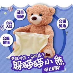 image-Talking Peek-a-Boo Teddy Bear Plush Toy for Kids