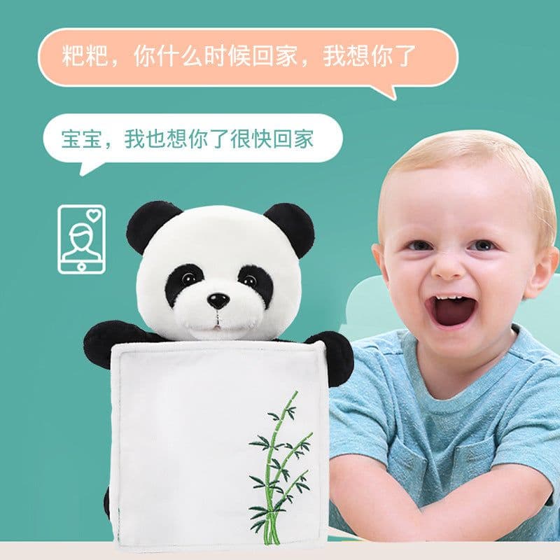 image-Talking Peek-a-Boo Teddy Bear Plush Toy for Kids