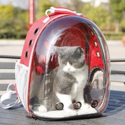 image-Hawo Panoramic Transparent Pet Carrier Backpack for Cats and Dogs