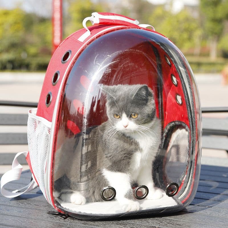 image-Hawo Panoramic Transparent Pet Carrier Backpack for Cats and Dogs