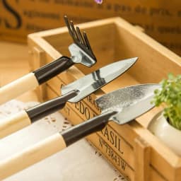 image-Gardening Tools 3-Piece Set for Succulents and Potted Plants
