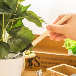 image-Gardening Tools 3-Piece Set for Succulents and Potted Plants