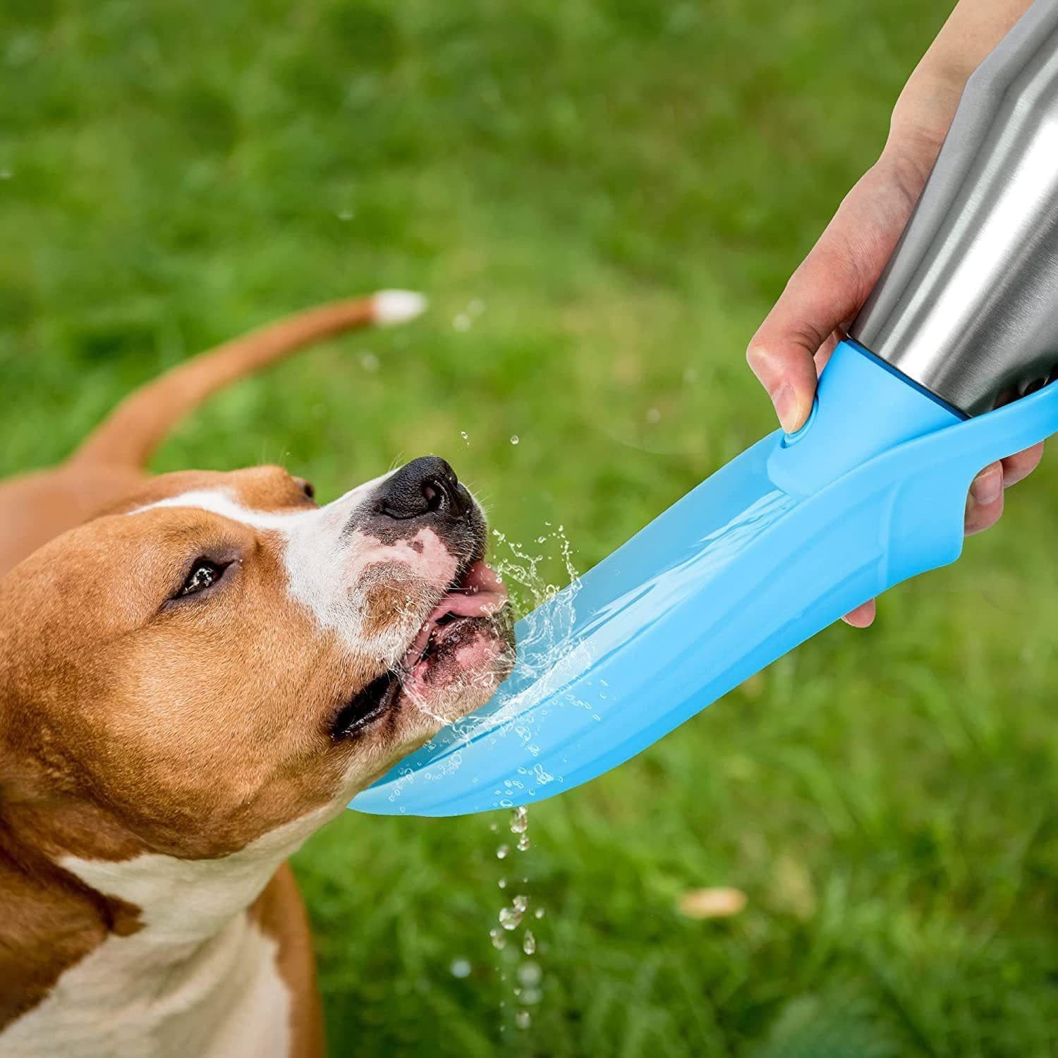 image-770ml Stainless Steel Portable Pet Water Bottle Leak-Proof Dog Cup