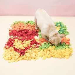 image-Pet Sniffing Mat for Dogs - Plush Food Foraging Toy