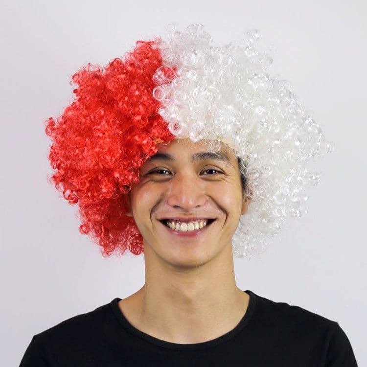 image-World Cup Flag Color Wig Rainbow Fan Hair Costume Prop