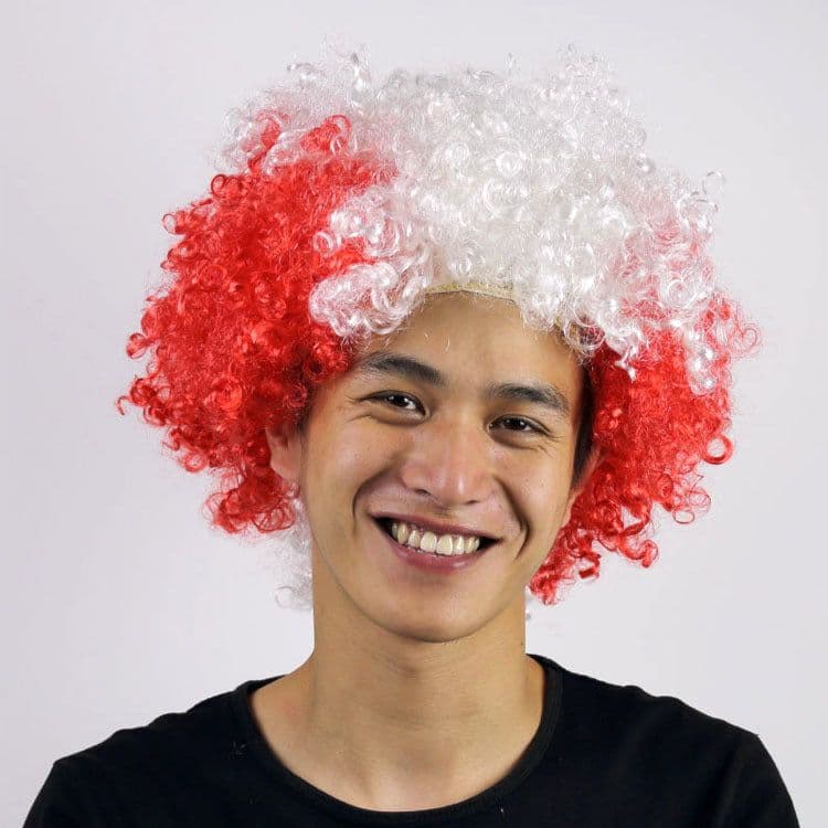 image-World Cup Flag Color Wig Rainbow Fan Hair Costume Prop