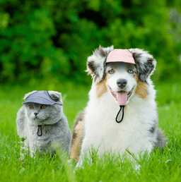 image-Dog Baseball Cap for Medium Large Dogs Outdoor Pet Hat