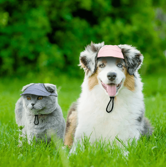 image-Dog Baseball Cap for Medium Large Dogs Outdoor Pet Hat
