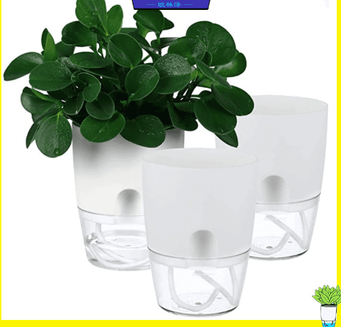 image-Transparent Double-Layer Self-Watering Indoor Flower Pot A7