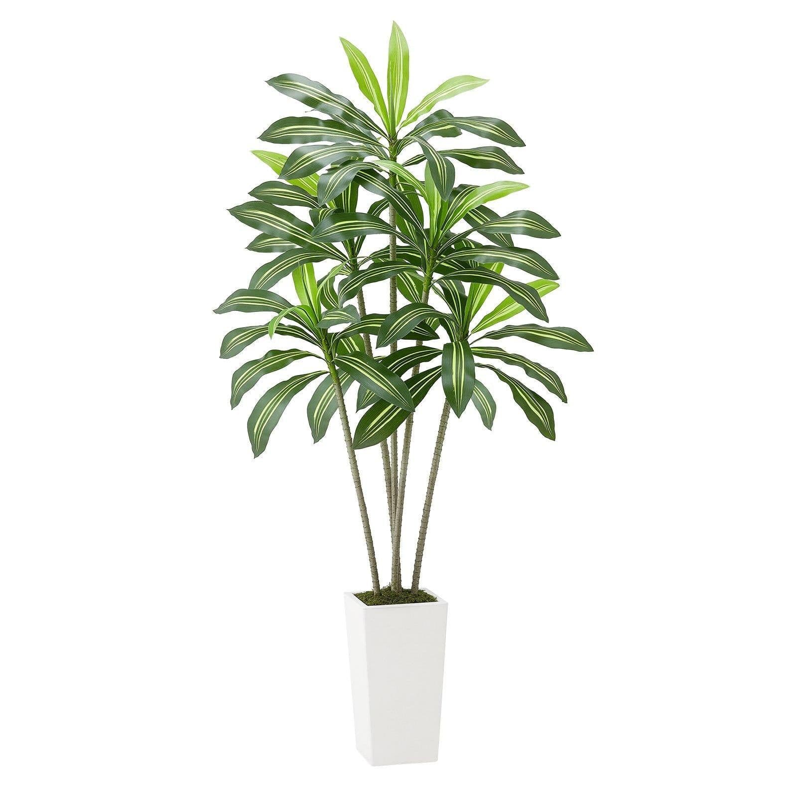 image-VEVOR Artificial Dracaena Tree 6 ft, Fake Palm Tropical Plants with White Tall Planter, Faux Floor Silk Plant in Pot, Large Trees for Home Office Living Room Decor House Warming, Indoor Outdoor