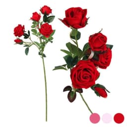 image-Stem of 5 Roses