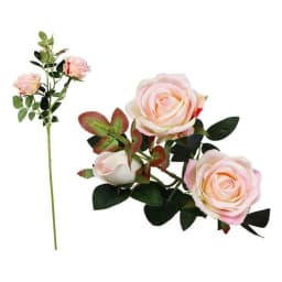 image-Stem of 5 Roses