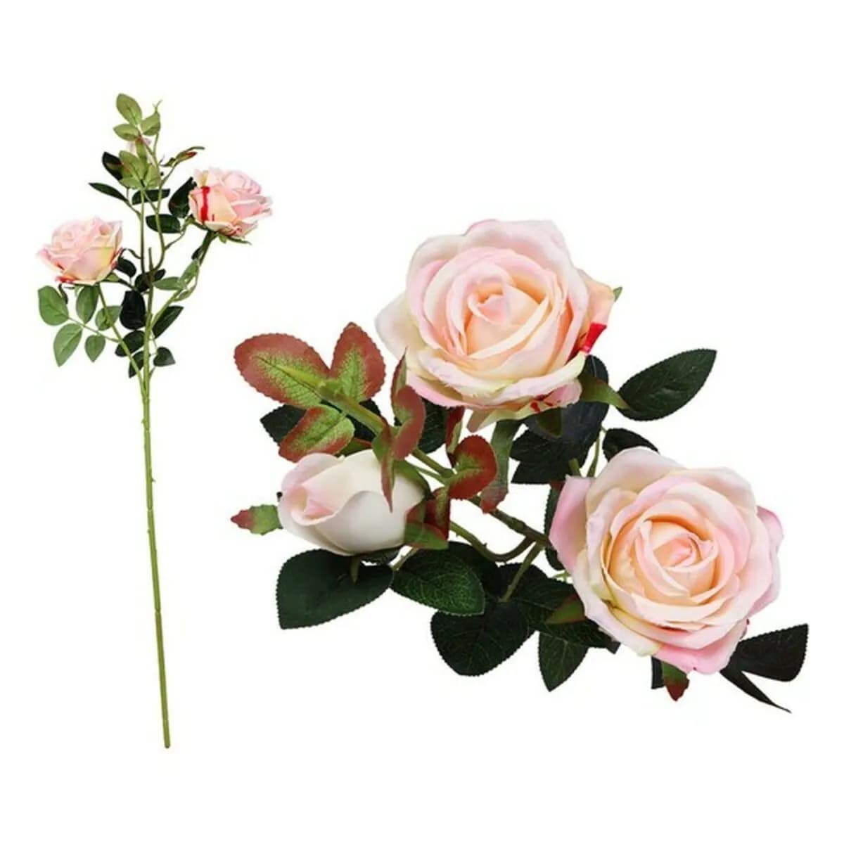 image-Stem of 5 Roses