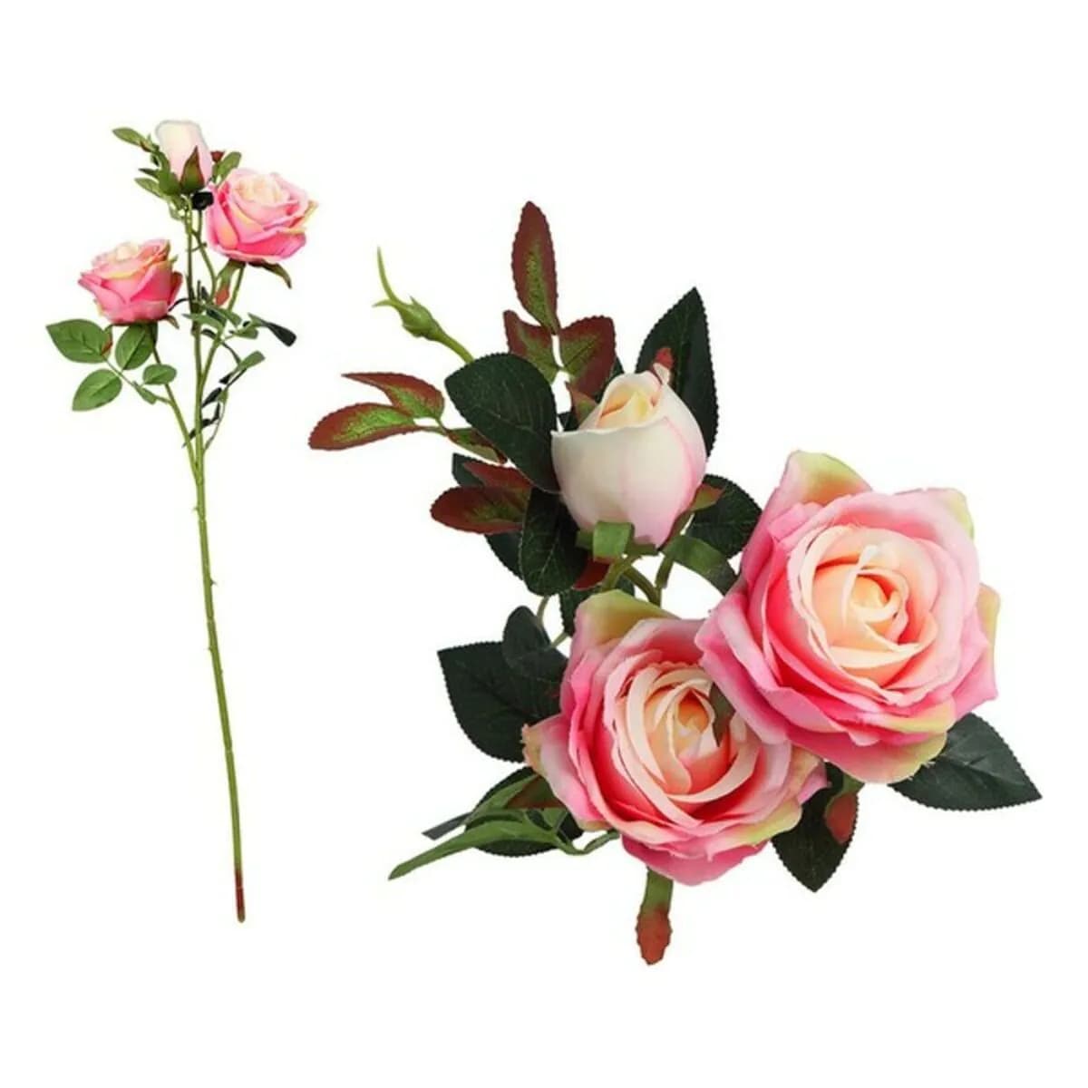 image-Stem of 5 Roses