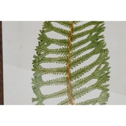 image-Painting Home ESPRIT Crystal Fir 45 x 2,5 x 70 cm