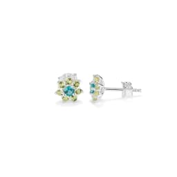 image-Ladies' Earrings Radiant RY000109