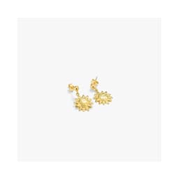 image-Ladies' Earrings Radiant RY000149