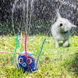image-Water Sprinkler and Sprayer Toy Octodrop InnovaGoods