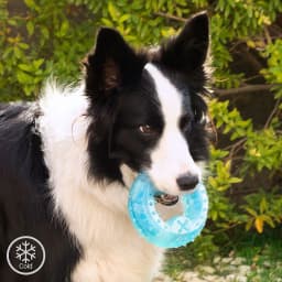 image-2-in-1 Freezable Pet Chew Toy Glubiz InnovaGoods