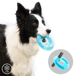 image-2-in-1 Freezable Pet Chew Toy Glubiz InnovaGoods