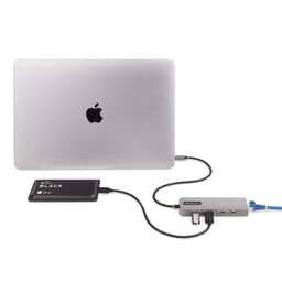 image-USB-C Hub Startech 10G2A1C25EPD-USB-HUB Grey