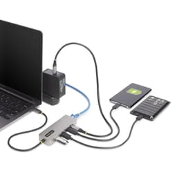 image-USB-C Hub Startech 10G2A1C25EPD-USB-HUB Grey