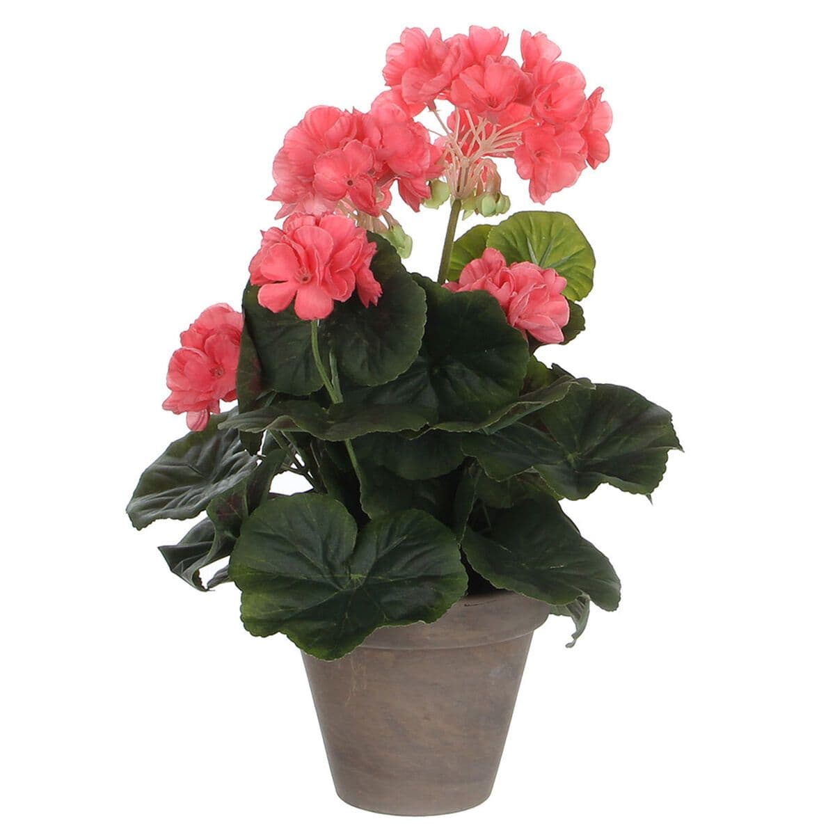 image-Decorative Plant Mica Decorations PVC Geranium (11,5 x 33 cm)