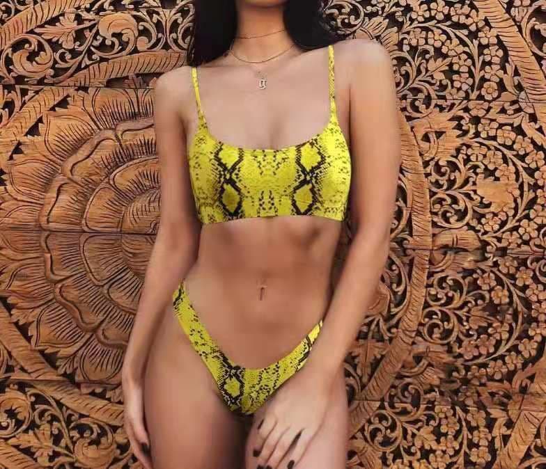 image-Leopard Print Bikini Swimsuit with Steel Support Skirt Style