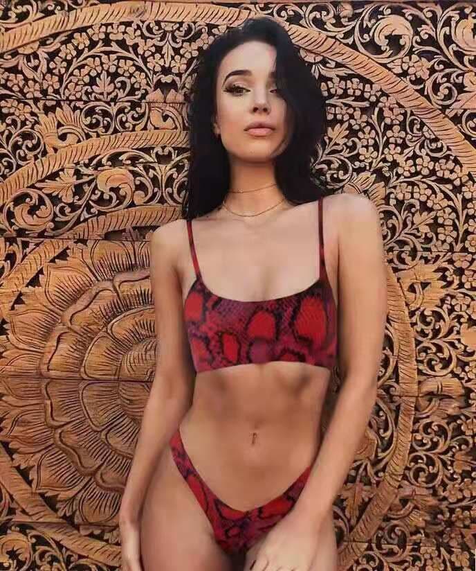 image-Leopard Print Bikini Swimsuit with Steel Support Skirt Style