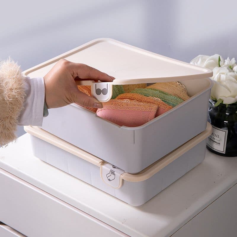 image-Underwear Storage Box Drawer Organizer with Compartments
