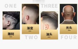 image-Electric Hair Clipper T6 USB Rechargeable T-Blade Trimmer