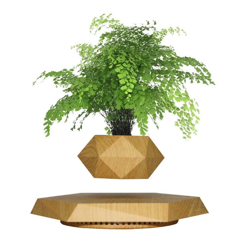 image-Magnetic Levitation Hexagon Planter Ornament