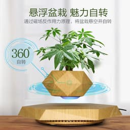 image-Magnetic Levitation Hexagon Planter Ornament