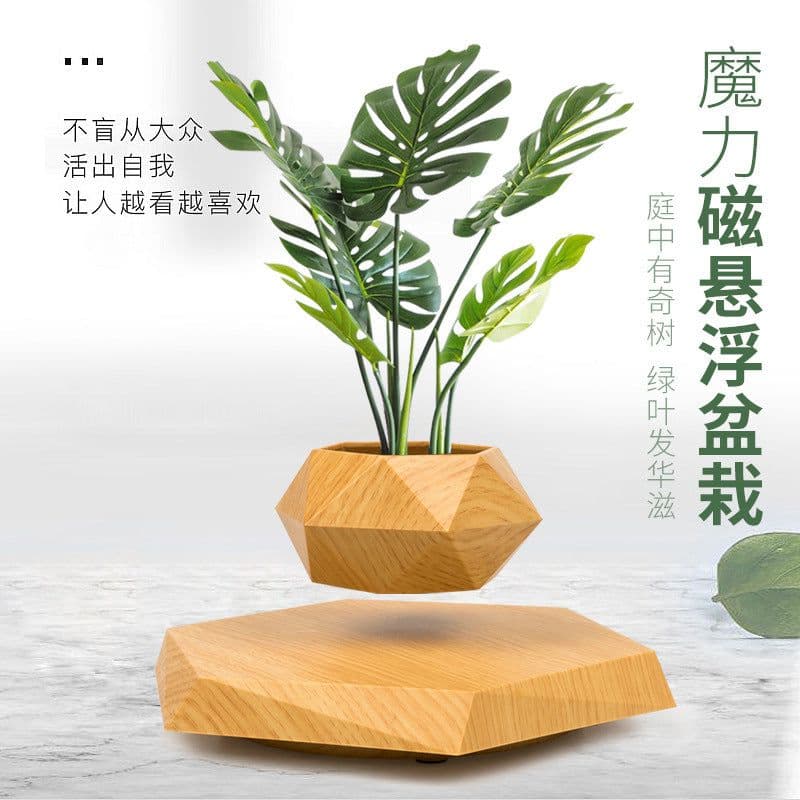 image-Magnetic Levitation Hexagon Planter Ornament