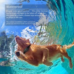 image-Dog Training Collar 500m Remote Waterproof Shock Vibration Bark