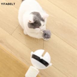 image-Electric Cat Toy Interactive Yo-Yo Ball with Lifting Feature