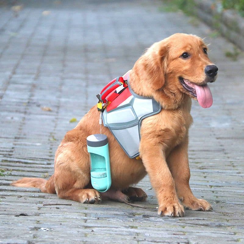 image-Portable Pet Water Bottle with Filter for Dogs Outdoor Travel