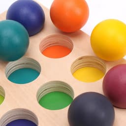 image-Montessori Rainbow Sorting Ball 12 Color Matching Board Wooden Toy