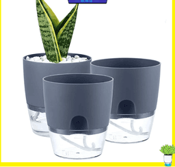image-Indoor Self-Watering Transparent Double-Layer Flower Pot A7