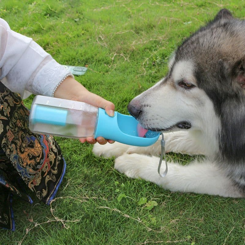 image-Pet Dog 3-in-1 Portable Water Bottle with Food & Waste Bag