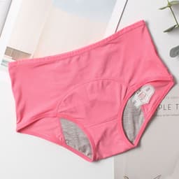 image-Fenghou High Waist Menstrual Period Leak-Proof Underwear Pants