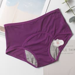 image-Fenghou High Waist Menstrual Period Leak-Proof Underwear Pants